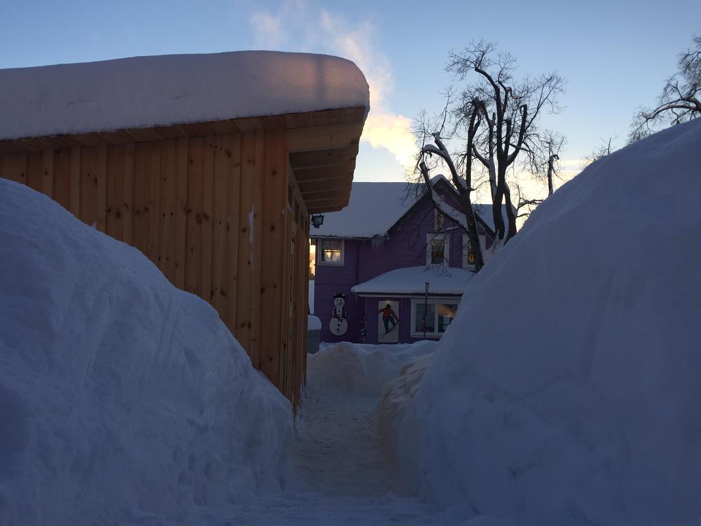 Blockhaus An Der Skiwiese Braunlage Exterior foto
